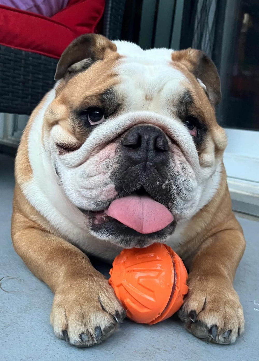 <p><strong>Real Stories. Real Results</strong></p>