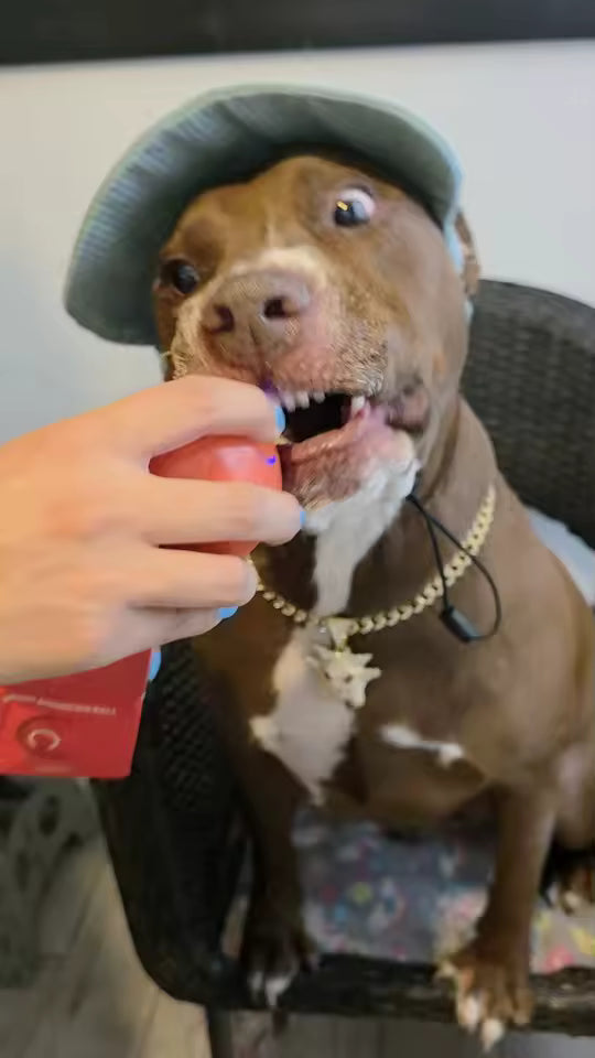 <p><strong>Real Stories. Real Results</strong></p>