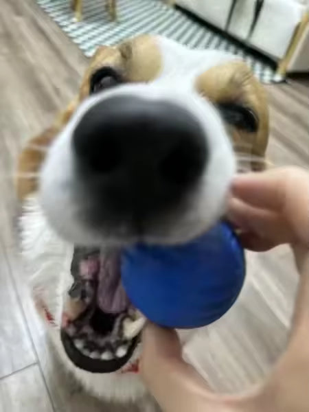 <p><strong>Real Stories. Real Results</strong></p>