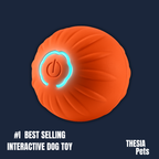 Interactive Dog Toys